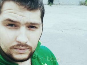 Mr_bear1