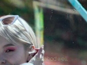 Maidabodwell