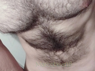 Marcobear18