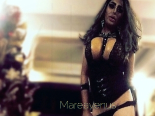 Mareavenus