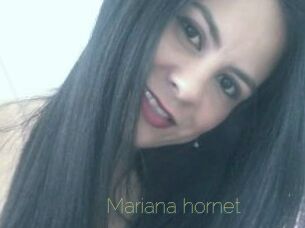 Mariana_hornet