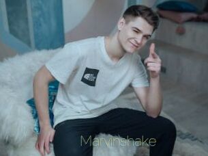 Marvinshake