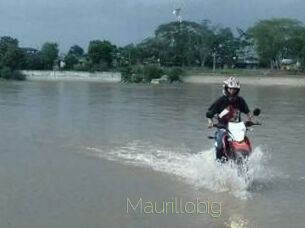 Maurillobig
