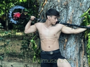 Maxiimusandrety