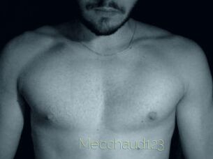 Mecchaud123