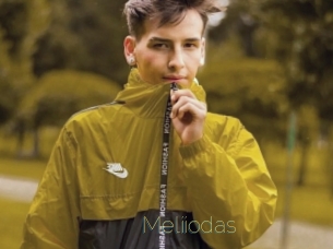 Meliiodas
