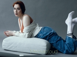 Melisacloud