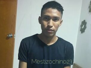 Mestizochino23