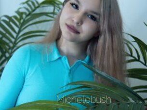 Michelebush