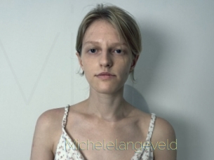 Michelelangeveld