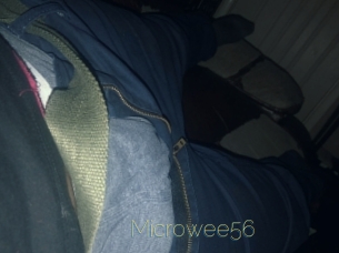 Microwee56