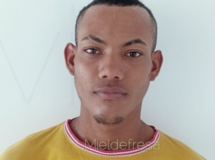 Mieldefresa