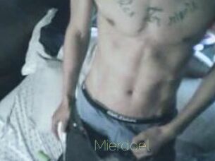Mierdoel