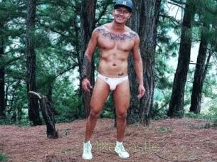 Mike_castle