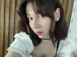 Milenabruks