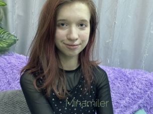 Minamiler