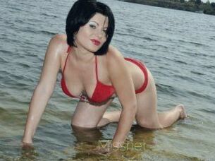 Missnet