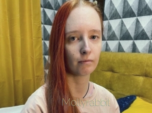 Mollyrabbit