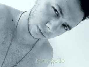 Monaguillo