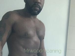 Mrwoodmoaning