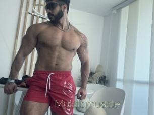 Mulatomuscle