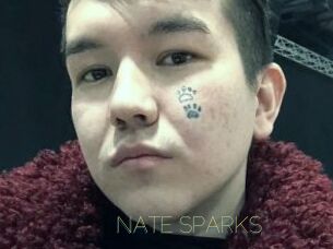 NATE_SPARKS