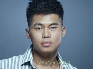 NateGolden Visio Tchats