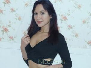 NiceEwok