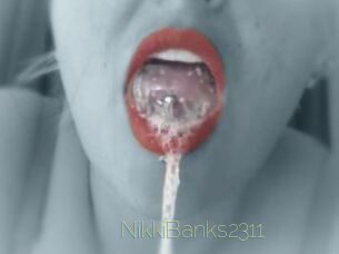 NikkiBanks2311 Visio Tchats