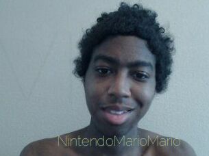 NintendoMarioMario