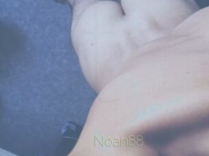 Noah88