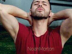 NoahMorton