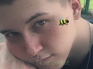 NoahSweet