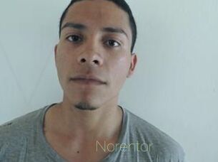 Noren_tor