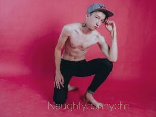 naughtybunnychri Visio Tchats