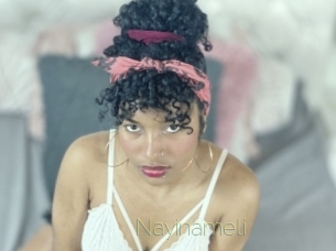 Nayinameli