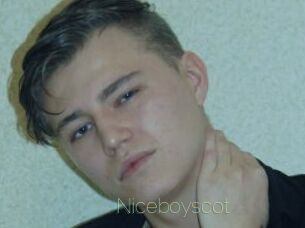 Niceboyscot