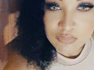 Nichelleg