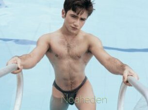 Noaheden