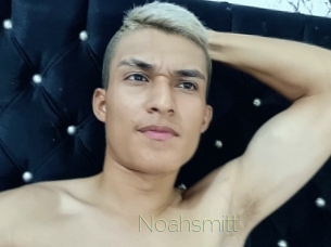 noahsmitt Visio Tchats