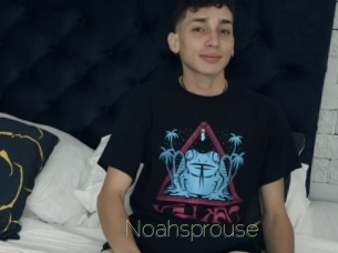 Noahsprouse