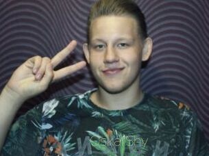 OskarShy