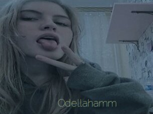 Odellahamm
