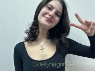 Odelynagrindel