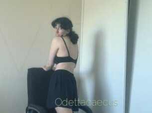 Odettacaecus