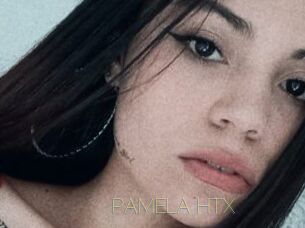 PAMELA_HTX