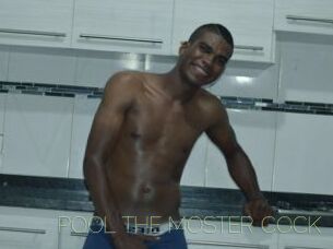POOL_THE_MOSTER_COCK