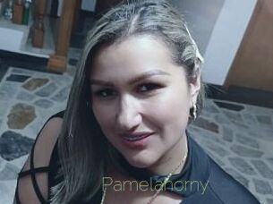 Pamelahorny Visio Tchats