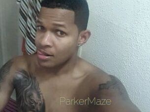 Parker_Maze