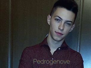 Pedrogenove